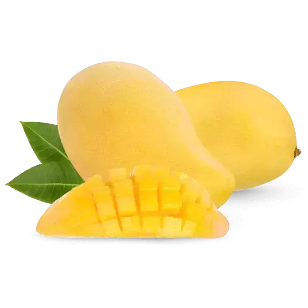 image_not_found