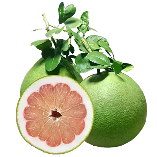 image_not_found