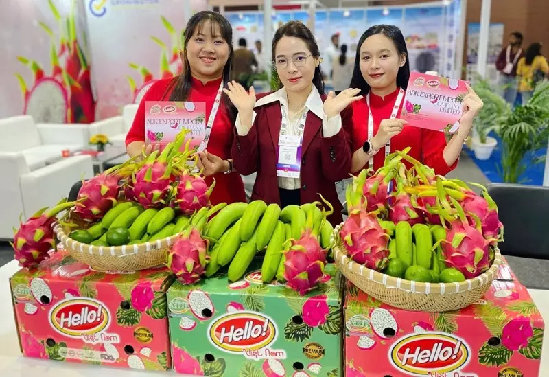 𝐀𝐃𝐊 𝐄𝐗𝐈𝐌 𝐯à 𝐭𝐡ươ𝐧𝐠 𝐡𝐢ệ𝐮 𝐇𝐞𝐥𝐥𝐨 𝐁𝐫𝐚𝐧𝐝 𝐭ạ𝐢 𝐖𝐨𝐫𝐥𝐝 𝐅𝐨𝐨𝐝 𝐈𝐧𝐝𝐢𝐚 𝟐𝟎𝟐𝟓